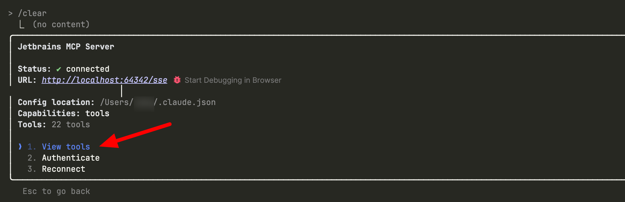 JetBrains MCP server details